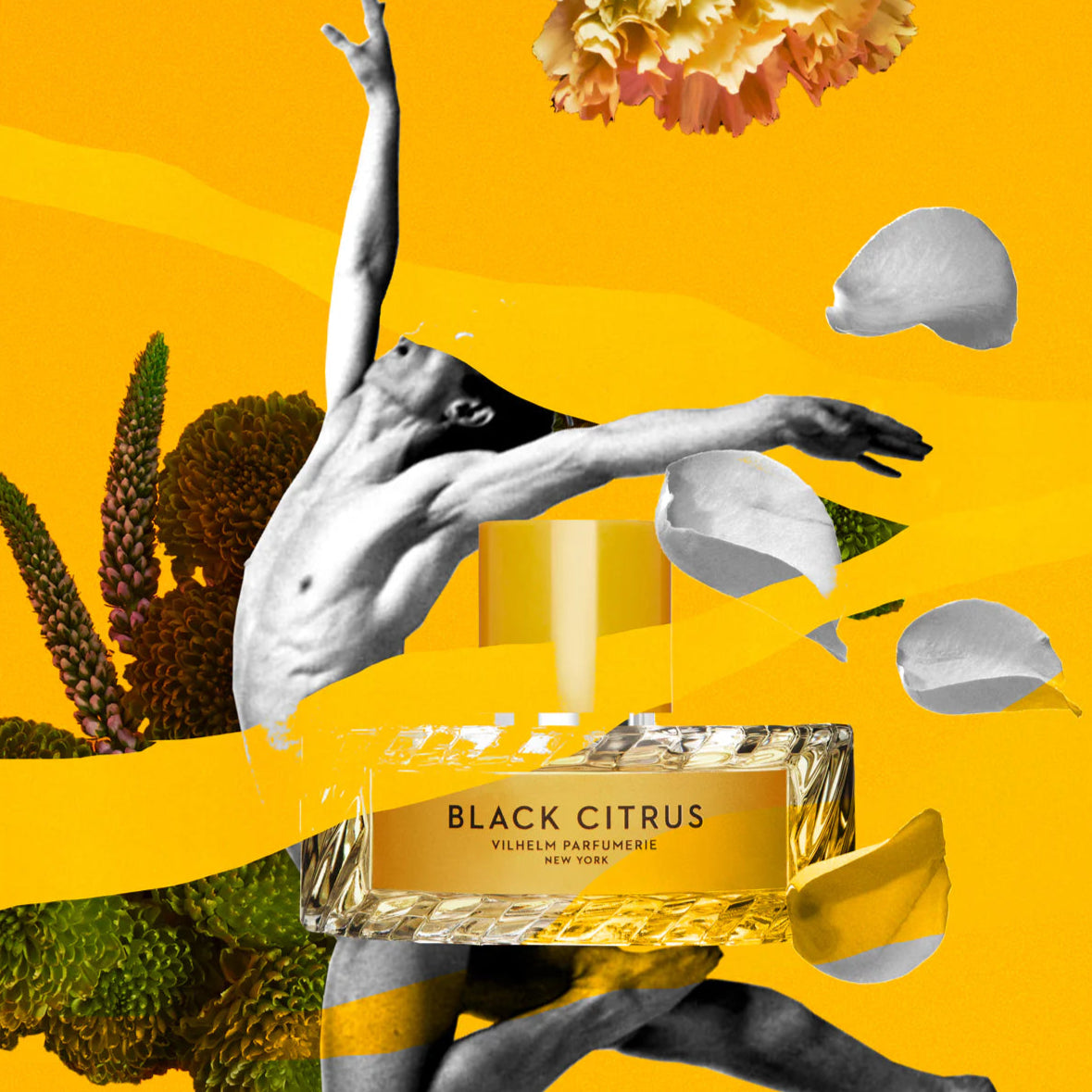 Vilhelm Parfumerie Black Citrus EDP