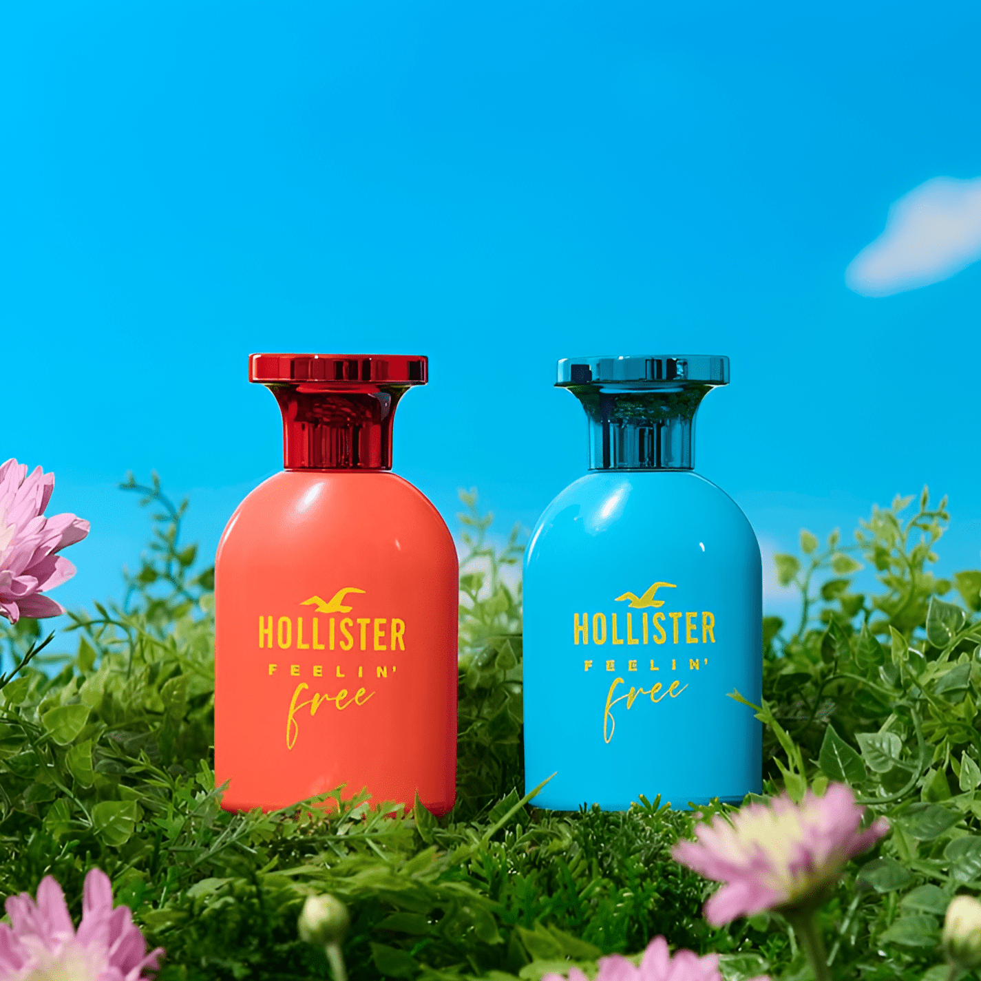 Hollister Feelin' Free EDT Hair & Body Wash Set for Men | My Perfume Shop