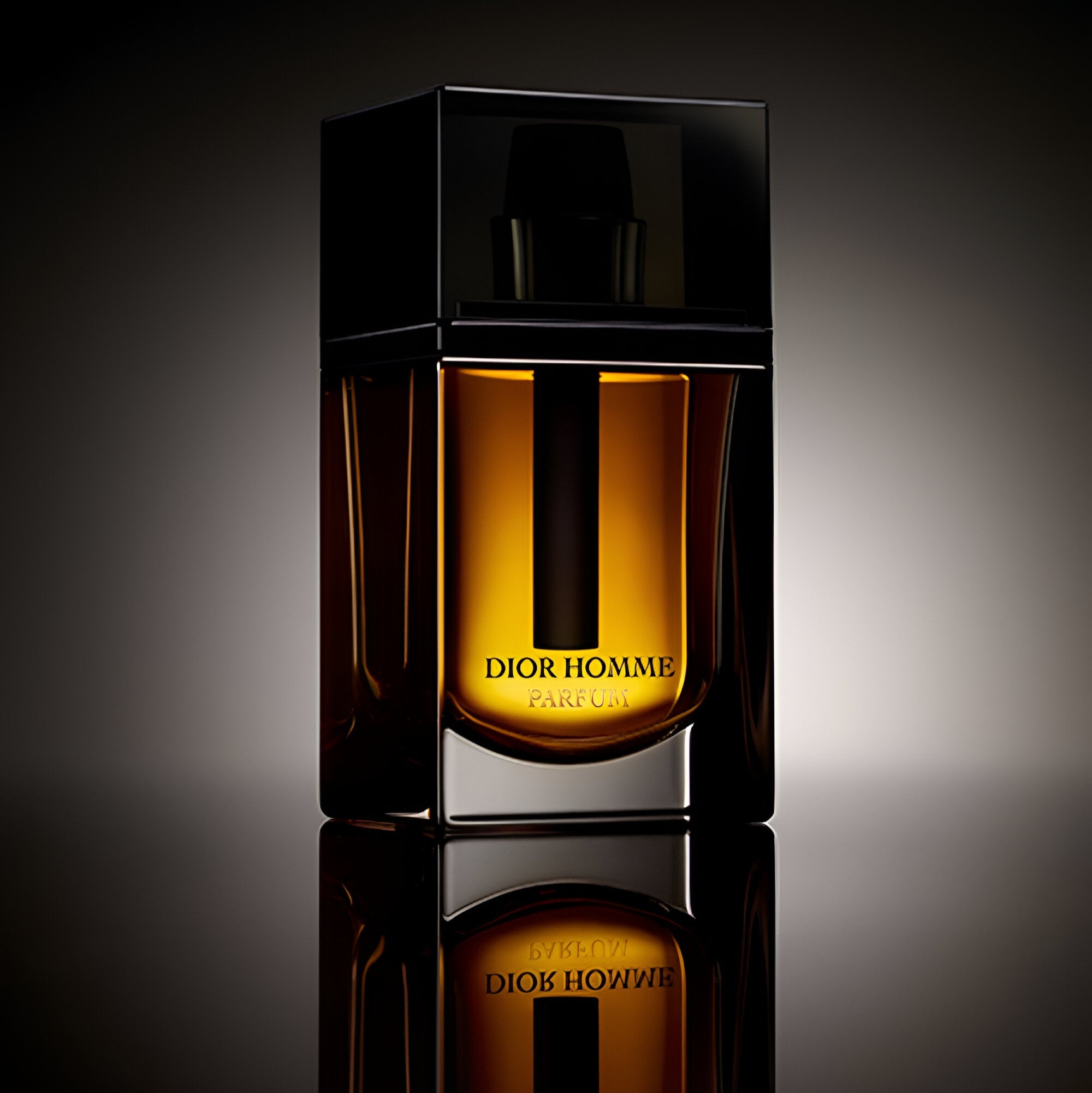 Christian Dior Dior Homme Parfum