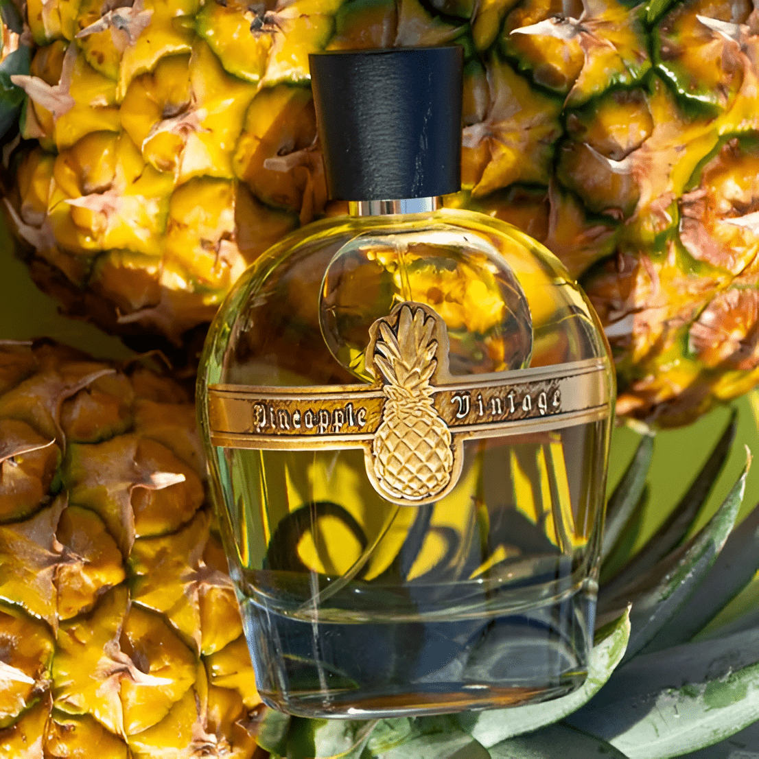 Pineapple Parfums Vintage Emperor Cologne Intense EDP | My Perfume Shop
