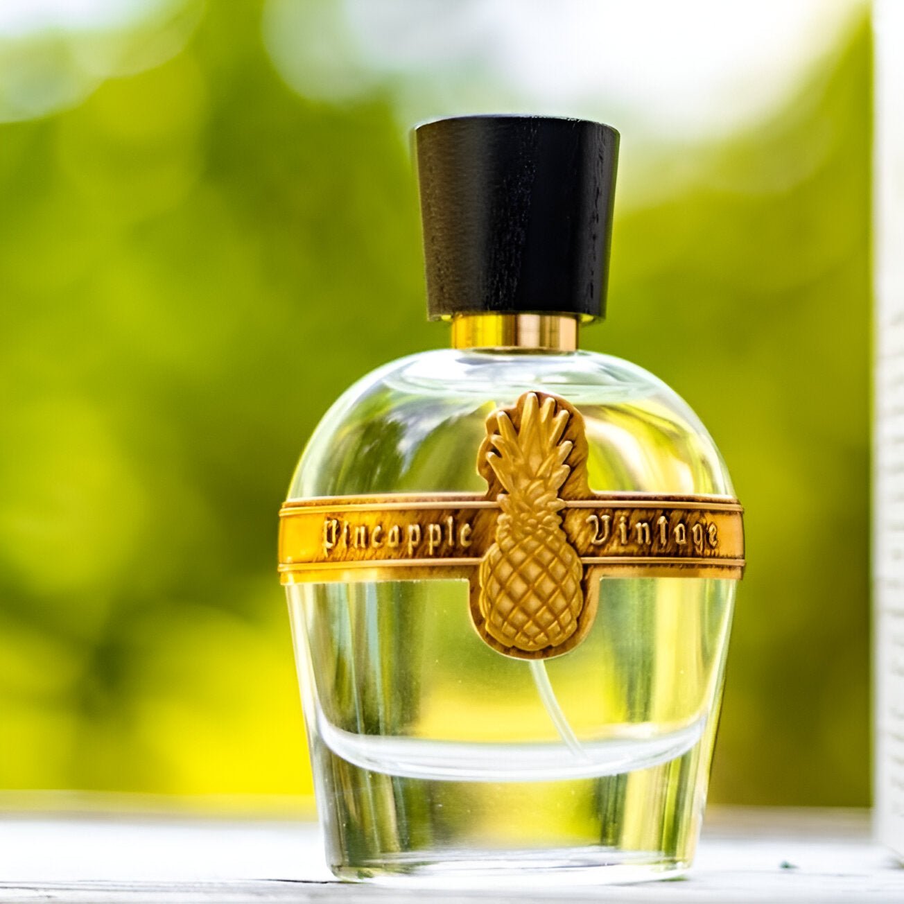 Pineapple Parfums Vintage Emperor Galerius EDP | My Perfume Shop