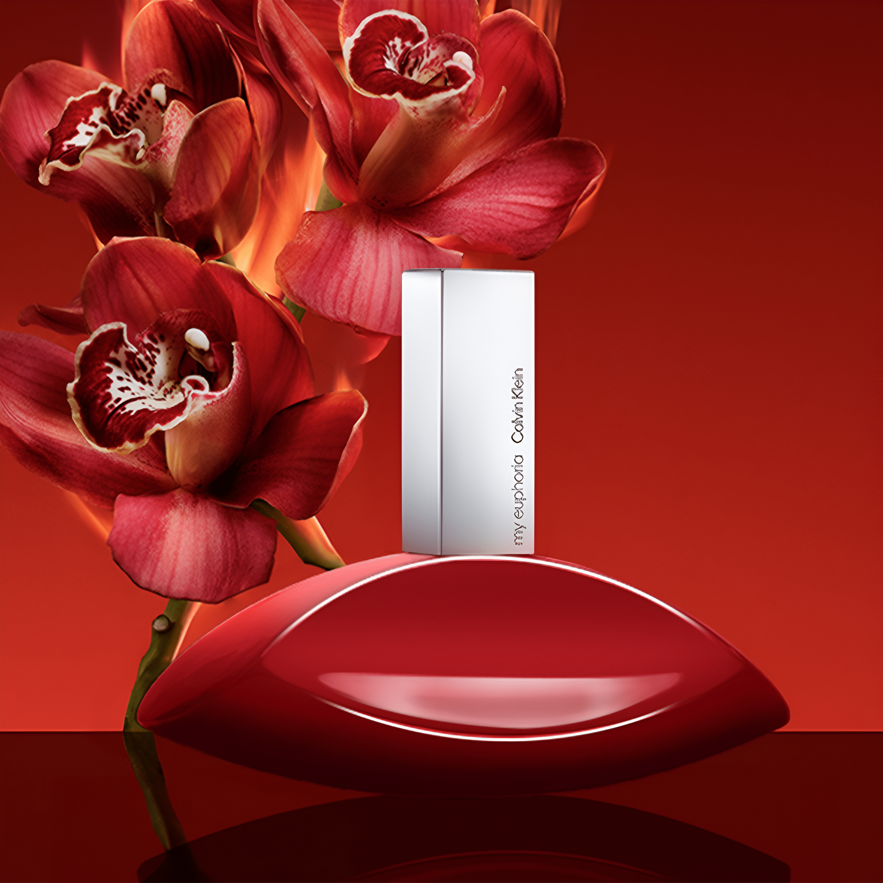 Calvin Klein My Euphoria EDP Set for Women | My Perfume Shop