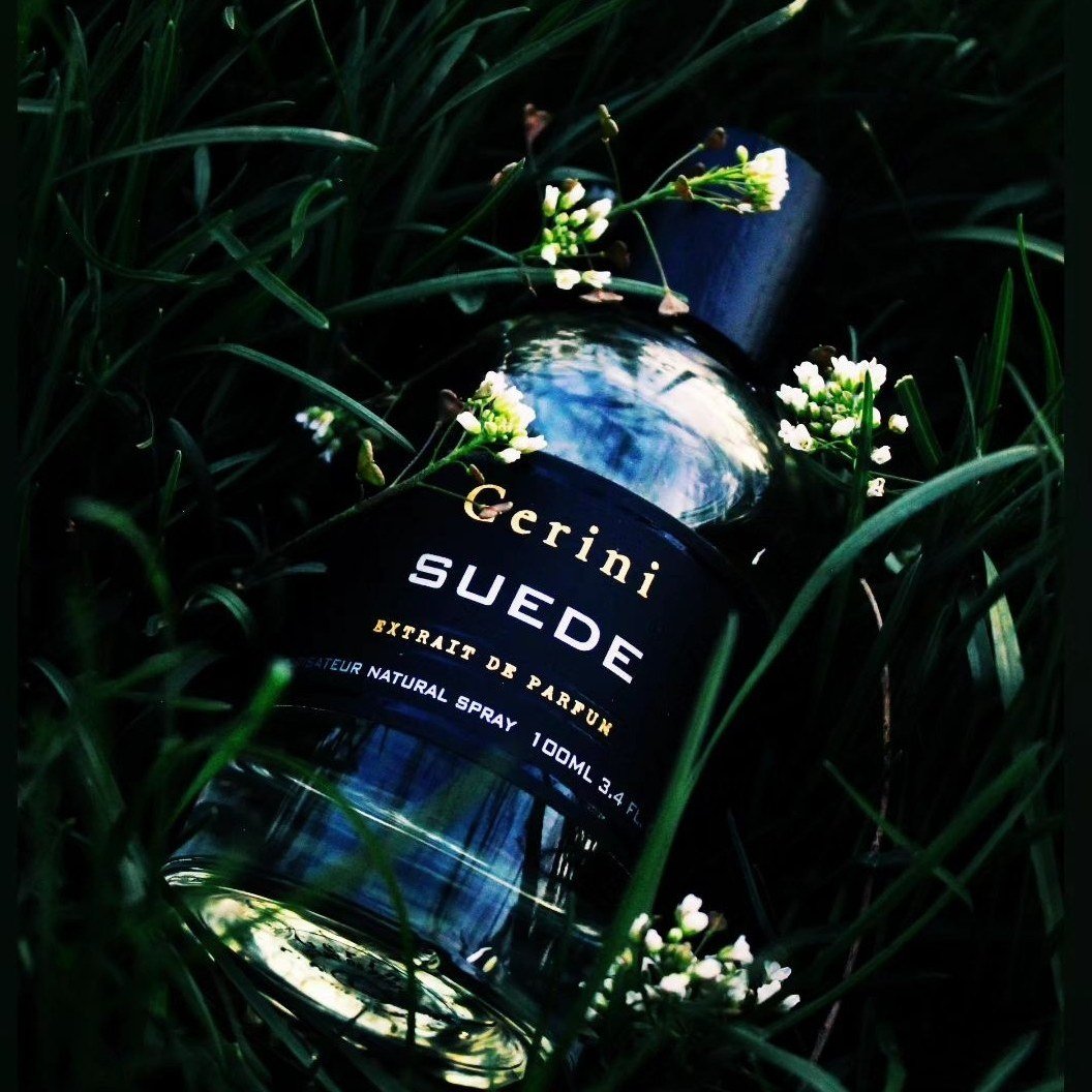 Gerini Suede Extrait De Parfum | My Perfume Shop
