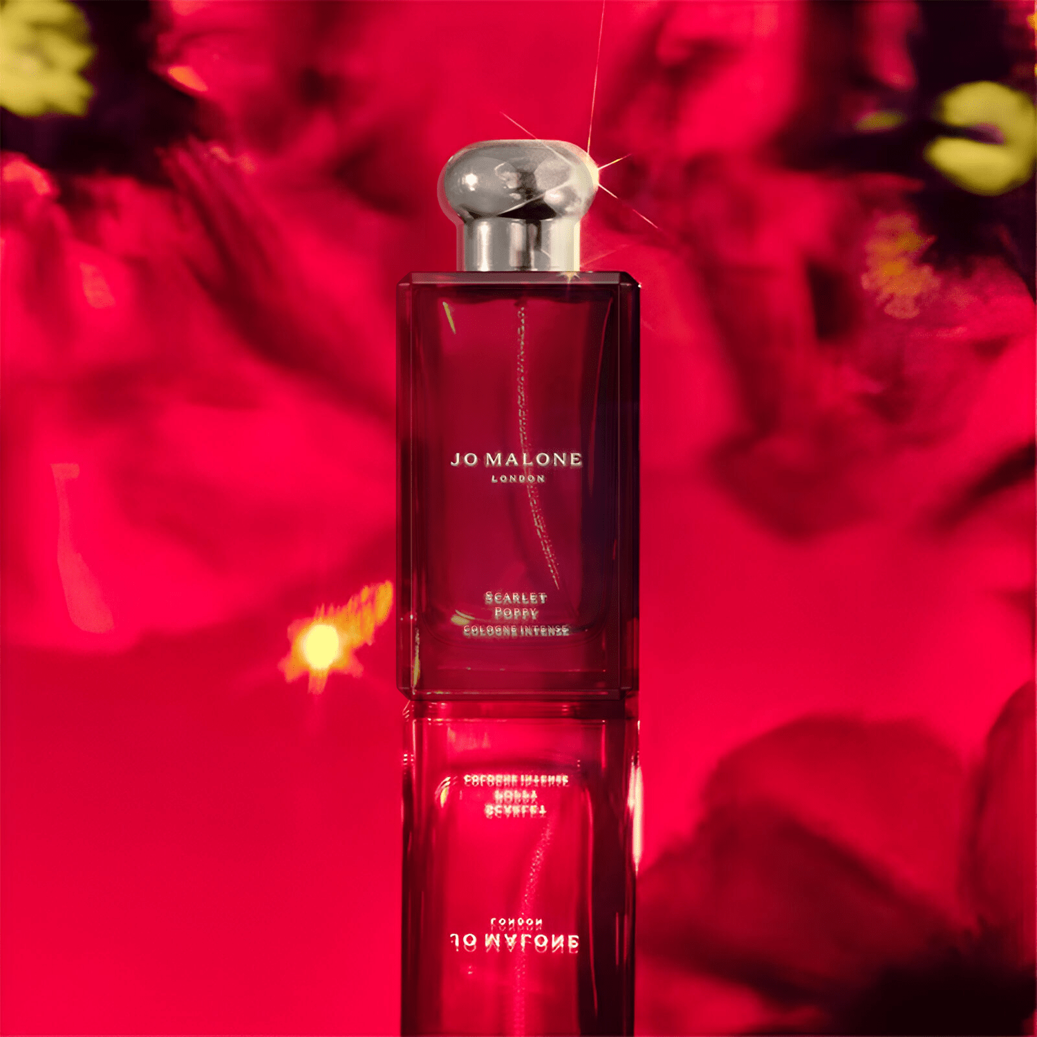 Jo Malone Scarlet Poppy Cologne Intense | My Perfume Shop