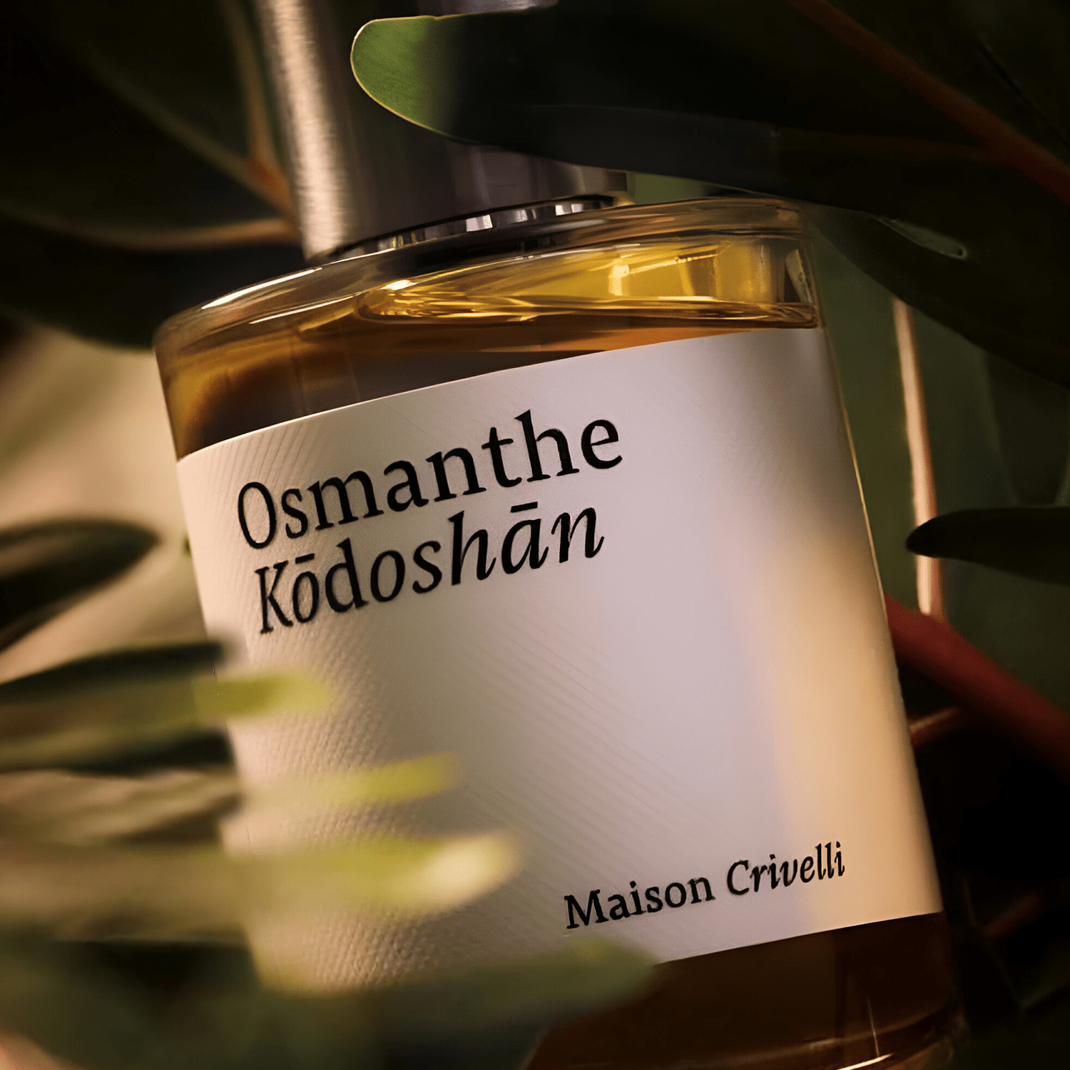 Maison Crivelli Osmanthe Kodoshan EDP | My Perfume Shop
