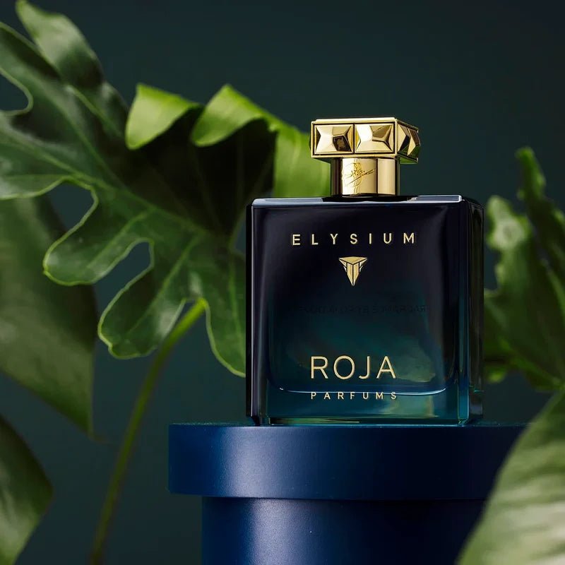 Roja Parfums Elysium Pour Homme EDP | My Perfume Shop